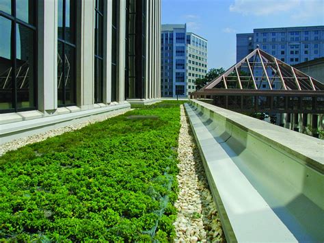 Innovative Green Roofs for Healthy Cities