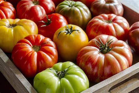 How to Grow Tomatoes: Your Complete Guide