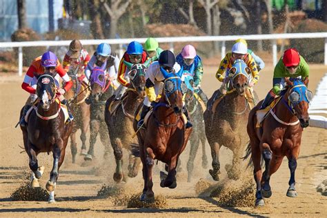 Why Horse Racing is so Popular in Australia - The Plaid Horse Magazine