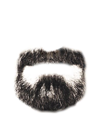 Beard PNG, Male Beards Transparent Background - Free Transparent PNG Logos