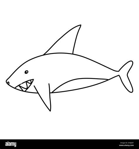 Cartoon shark, sea predator, great white shark hand drawn doodle vector illustration Stock ...