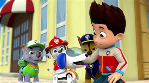 Watch PAW Patrol Season 1 Episode 19: Pups Save A Super Pup/Pups Save ...