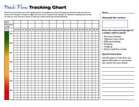 Peak Flow Diary | Example Calendar Printable