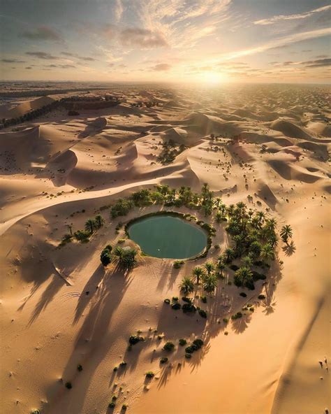 This is what a Desert Oasis looks like, I've always heard of them but never seen a picture. : r ...