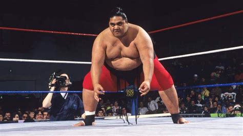 Yokozuna+(Rodney+Anoa'i) | Luchador de sumo, Leyendas, Wwe