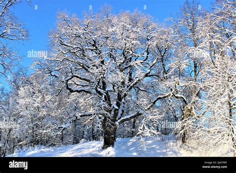 The beautiful nature of Latvia Stock Photo - Alamy