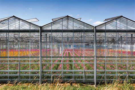 Choosing the Right Greenhouse Covering for Your Operation | GrowSpan