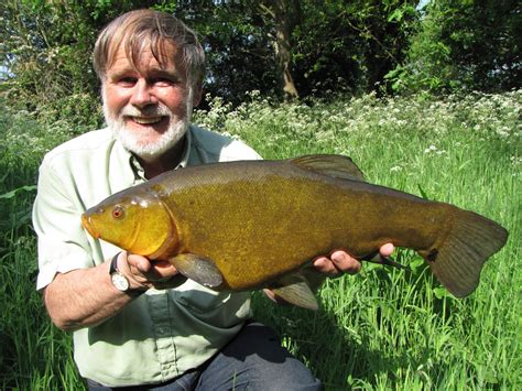 Travelling Man: The world of a tench fisher.