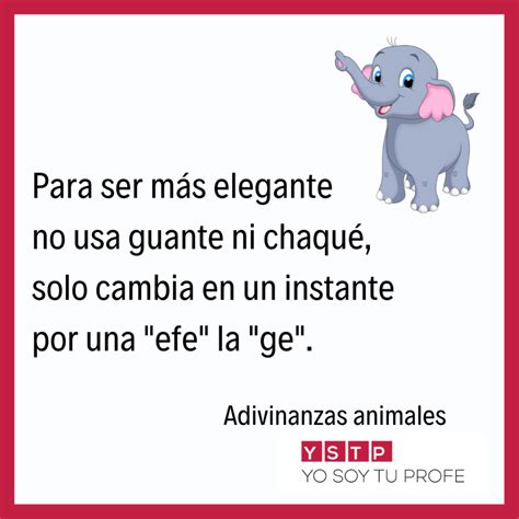 10 adivinanzas de animales para pasar un buen rato en familia - Yo Soy ...