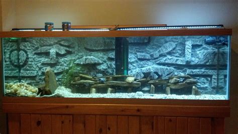 Diy 3D Aquarium Background - 3d Freshwater Aquarium Backgrounds Aquarium Advice : Diy 3d ...