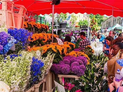 8 Flower Markets In London That You Should Explore!