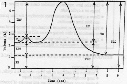 The normal range for lung volumes are 80-120% predicted.