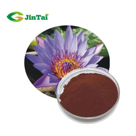 China Herbal Extract Powder/ China Herbal Extract Powder/ Blue Lotus ...