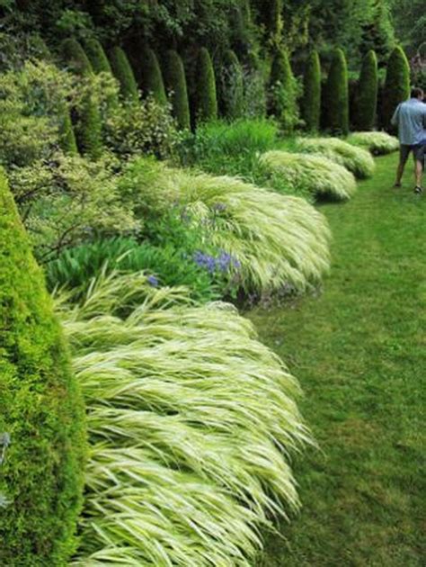 Cool 42 Amazing Evergreen Grasses Landscaping Ideas. More at https://homishome.com/2018/09/15/42 ...