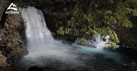 Best Trails near Blue River, Oregon | AllTrails