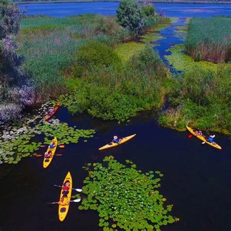 Ture cu caiacul în Delta Dunării - Descoperă Eco-România