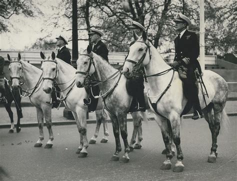 Rehearsal For The Coronation Procession..... Photograph by Retro Images Archive - Pixels