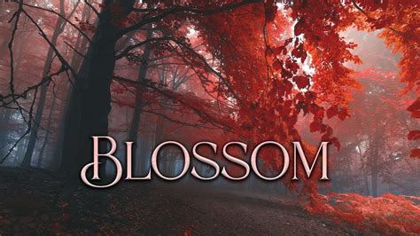 1 Hour of Forest Music | Blossom - YouTube