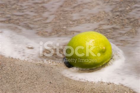 Lime On The Beach Stock Photo | Royalty-Free | FreeImages