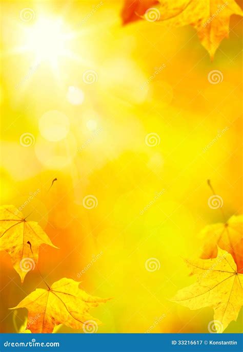 Yellow Leaf Background Hd : Yellow leaf, (pc top), wallpaper cashadvance6online.com. - gra-czy-wojna