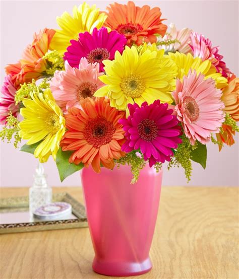 Daisy Flower Arrangements | Best Flower Site