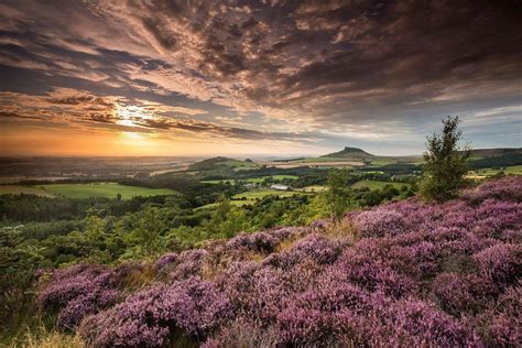 North York Moors NP (@northyorkmoors) on Twitter | North york moors national park, National ...