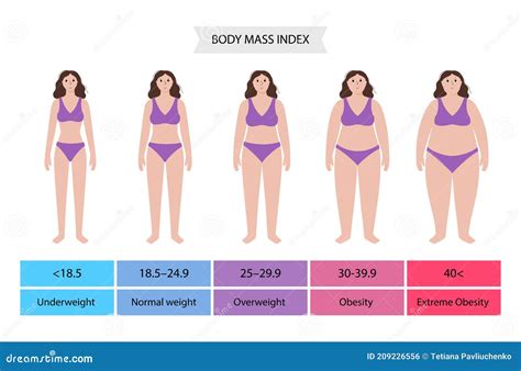 Body mass index woman stock vector. Illustration of exercise - 209226556