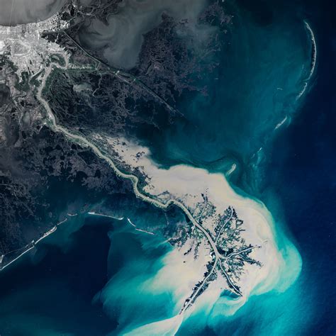 Modeling River Delta Formation | Carolina Biological Supply