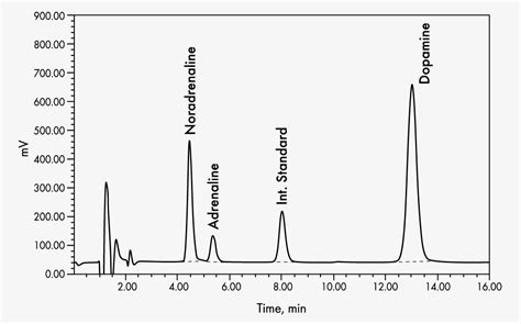 Catecholamines in Urine - HPLC