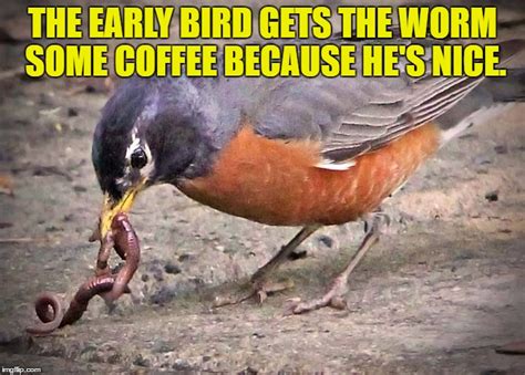 early bird gets coffee - Imgflip