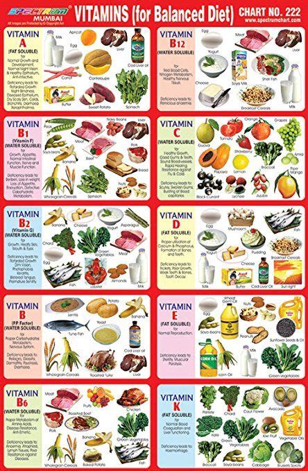 Image result for balanced diet chart for school project Health Balanced Diet, Balanced Diet ...