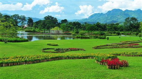 Xishuangbanna Tropical Botanical Garden: Research, Preservation, and ...