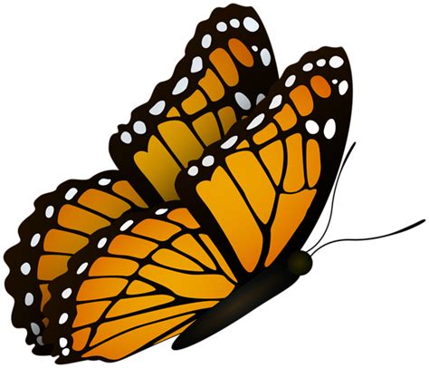 Flying Butterfly Clipart Image | Butterfly clip art, Clipart images ...