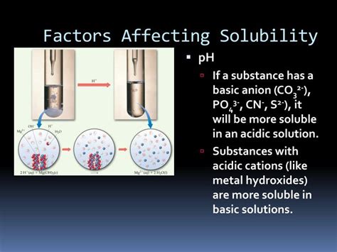 PPT - Factors Affecting Solubility PowerPoint Presentation - ID:5575206