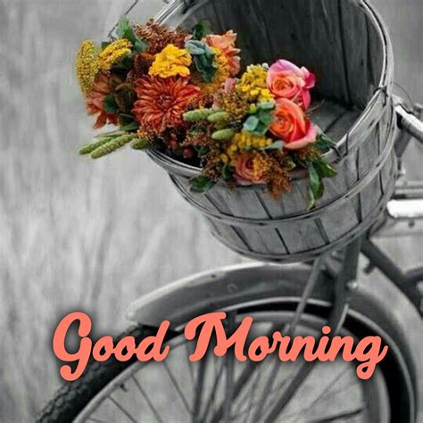 Spread love and joy by sending beautiful Good Morning flowers Images - Good Morning Images ...