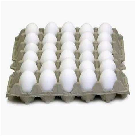 Poultry Eggs at Rs 3/piece | Poultry Eggs in Surat | ID: 23123799455