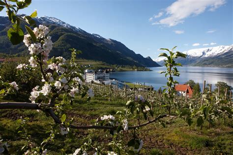 Hotel Ullensvang by the Hardangerfjord - Historic Hotels in Norway