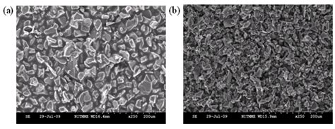 SEM pictures of (a) 600 grit and (b) 1000 grit unabraded SiC paper. | Download Scientific Diagram