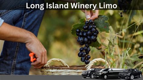 Discover the Best of Long Island Wineries with Mid-Range Wine Tasting Package Tours Limo Service