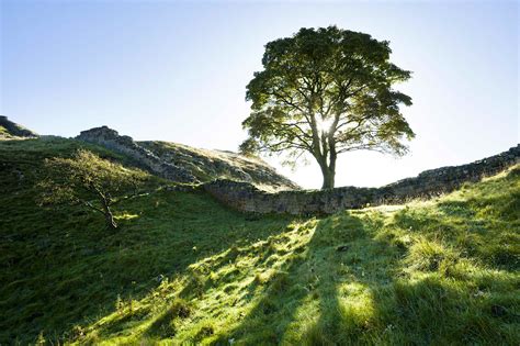 Top 10 national parks in England - Lonely Planet