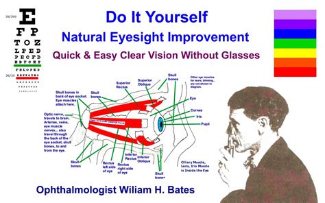 Vision Without Glasses Review - Top Expert Product Reviews