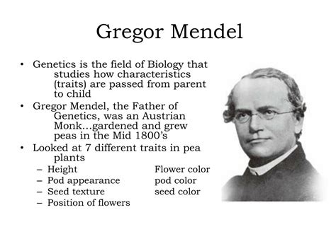 Ppt - Genetics: Beyond Mendel Powerpoint Presentation E7A