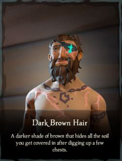 Dark Brown Hair - Sea of Thieves Wiki