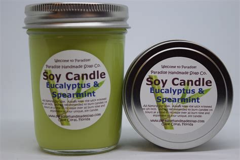 Eucalyptus Spearmint Candle – Paradise Handmade Soap Co.