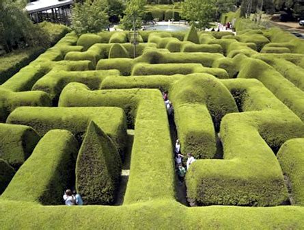 Ashcombe Maze – Shoreham, Australia - Atlas Obscura