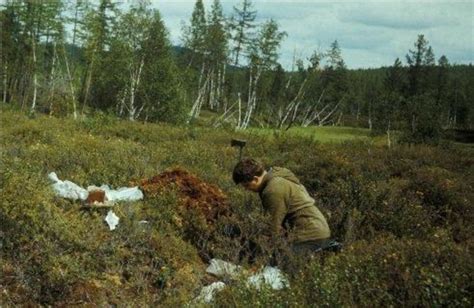 First 1908 'Tunguska event' meteorites believed found