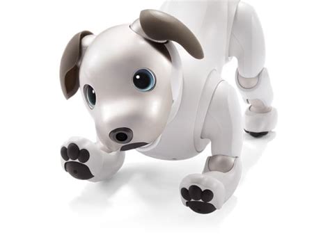 New Sony Aibo Robot Dog Demonstrated At CES 2018 - Geeky Gadgets