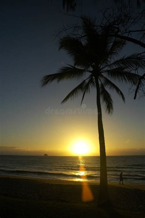 Sunrise on a Tropical Beach Stock Image - Image of warm, tropic: 5694319