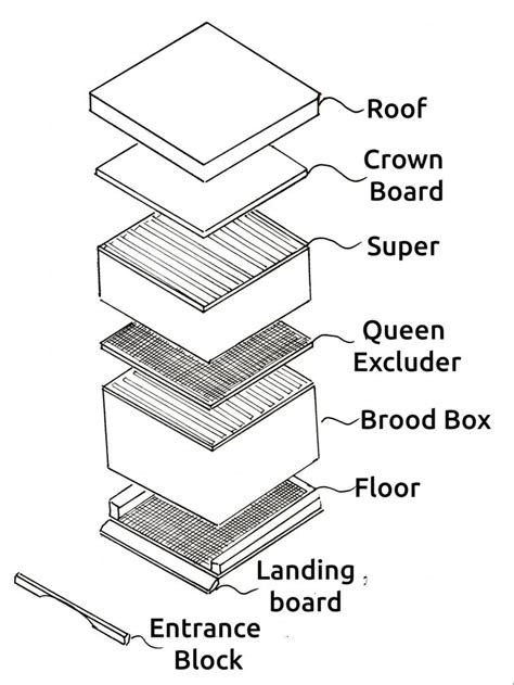 23+ Langstroth Hive Diagram - ChongSergie