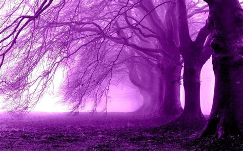 Purple Tree Wallpapers - Wallpaper Cave